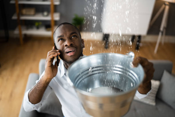 Best Carpet water damage restoration  in St Clair, MO