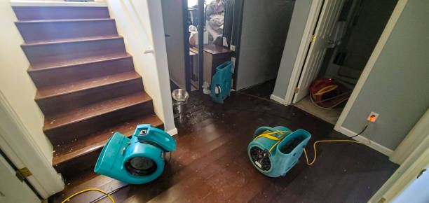 Best Emergency water damage restoration  in St Clair, MO