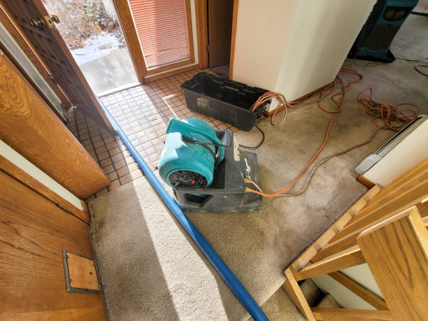 Best Mold removal after water damage  in St Clair, MO