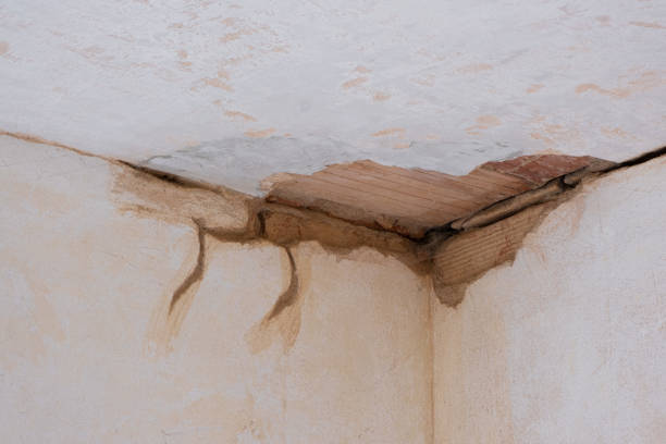 Best Fire Damage Restoration  in St Clair, MO