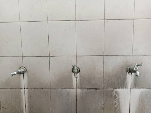 Best Water damage restoration near me  in St Clair, MO