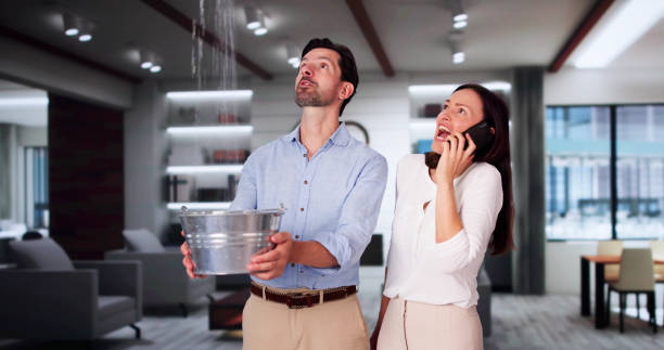 Best Basement water damage restoration  in St Clair, MO