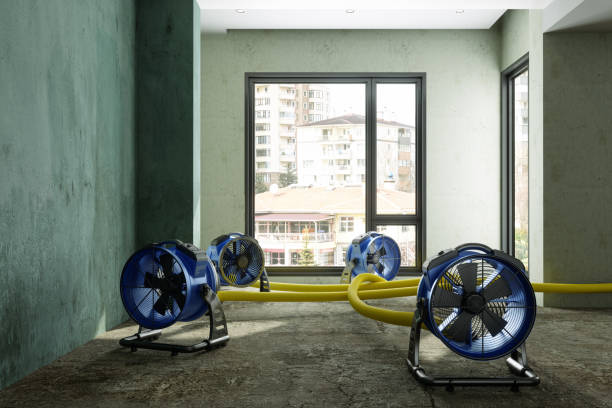 Best Water damage cleanup near me  in St Clair, MO